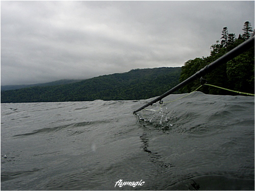 e0035597_2145447.jpg