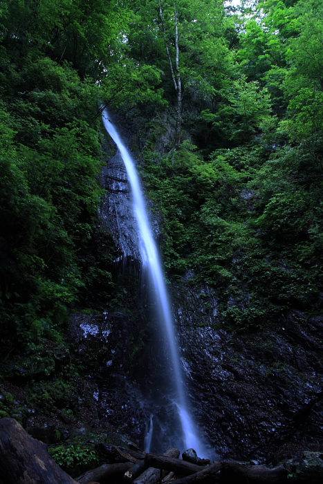 b0116600_2213463.jpg
