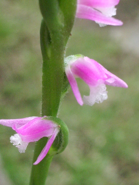 e0025300_23112821.jpg
