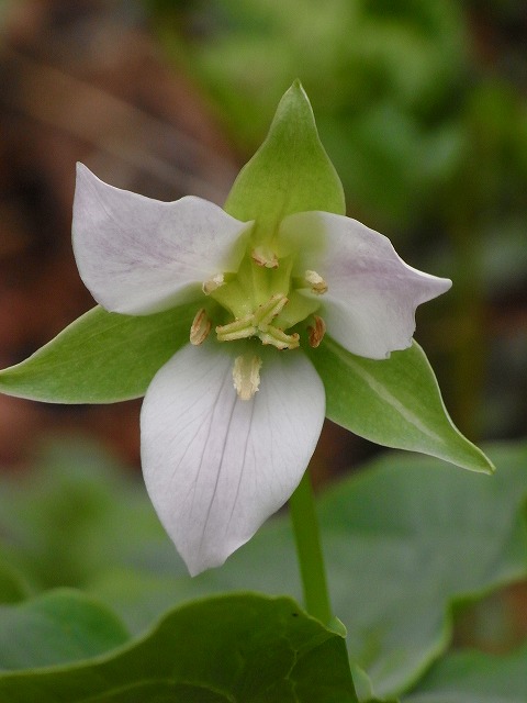 f0157901_932098.jpg