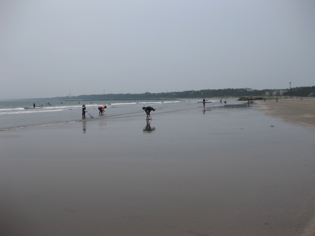d0070702_184225.jpg