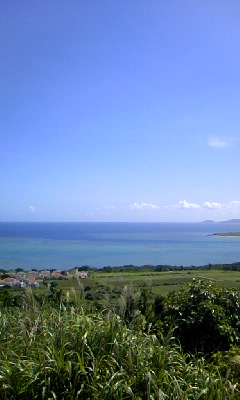 f0032403_2052182.jpg