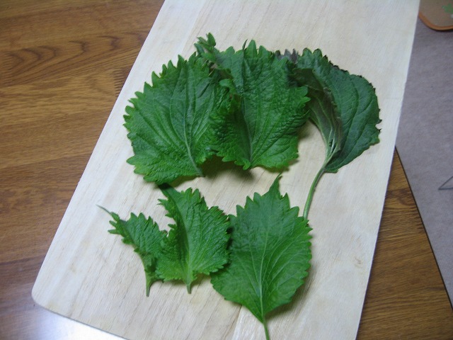 f0202703_2237358.jpg
