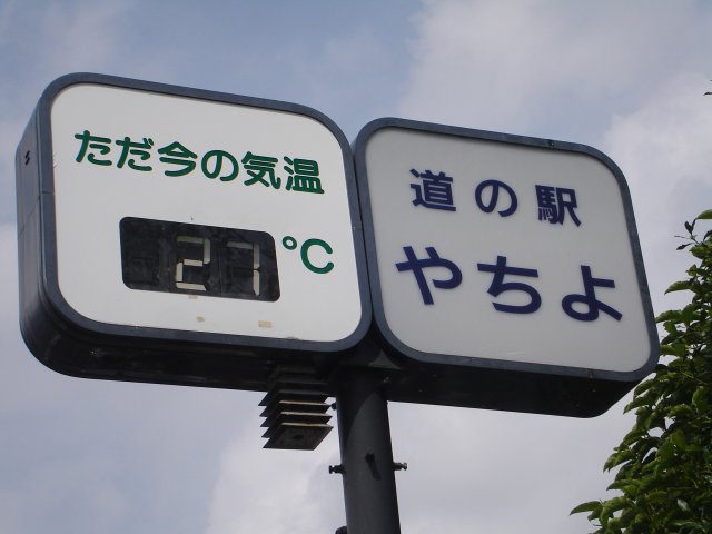 a0116205_1127492.jpg