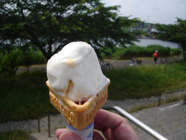 a0116205_1128494.jpg