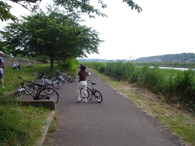 a0116205_11291522.jpg