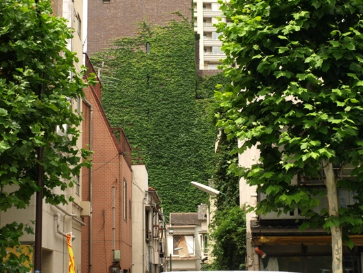 e0083212_15221223.jpg
