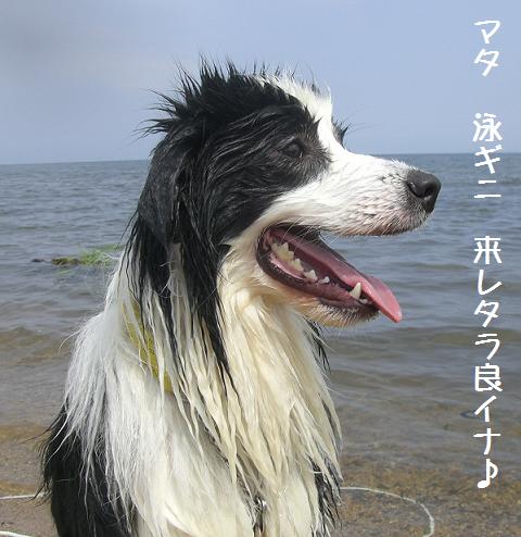 c0181414_16385911.jpg