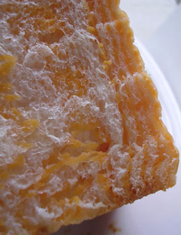 f0036716_0313214.jpg