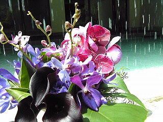 a0052621_18393787.jpg
