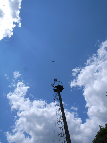 d0144121_324524.jpg