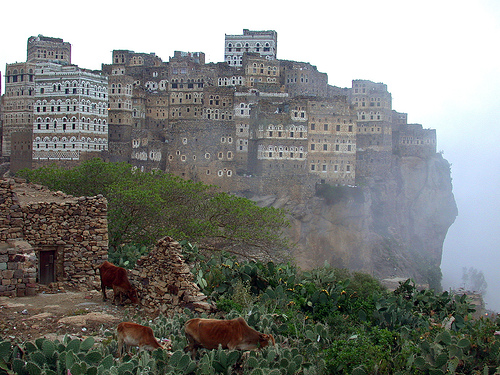 a0120727_2593617.jpg