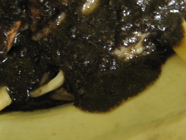 d0147727_2291744.jpg