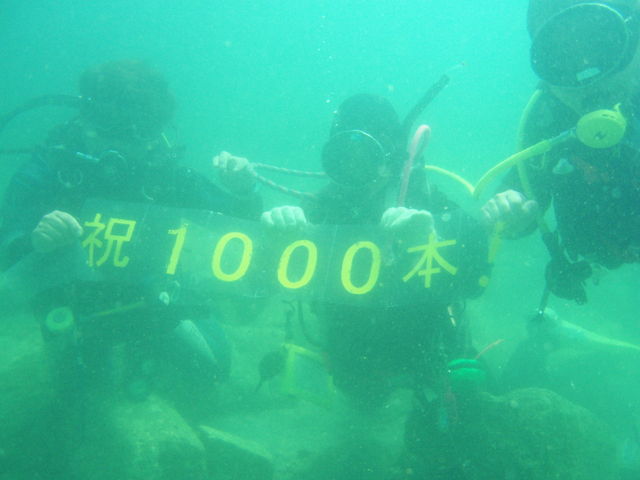 c0034029_7425161.jpg