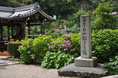 c0193833_10563355.jpg