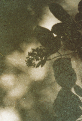c0165137_2216281.jpg
