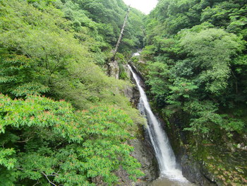 c0183137_6281130.jpg