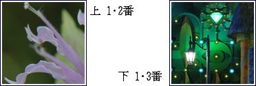 c0106443_14413751.jpg