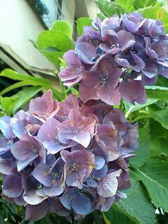c0011446_1847963.jpg