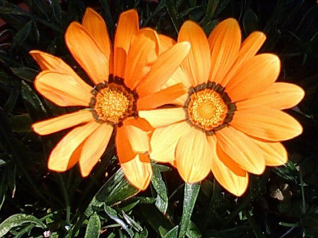 f0179947_227177.jpg