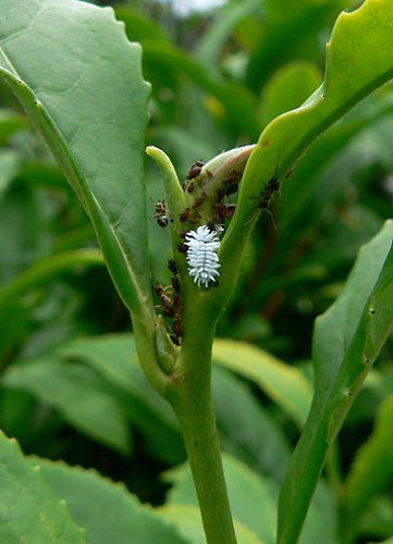 d0091754_23502996.jpg