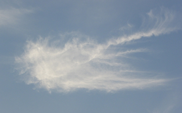 e0098256_1251293.jpg