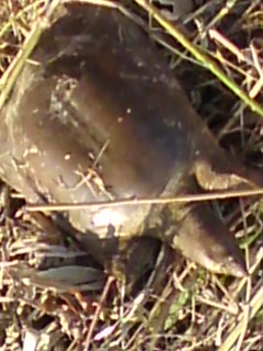 e0133656_220554.jpg
