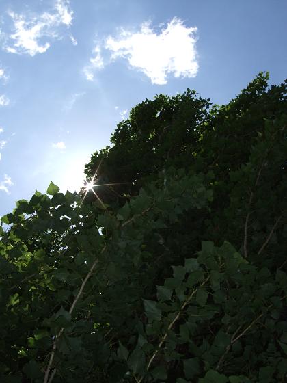 f0149057_2259983.jpg