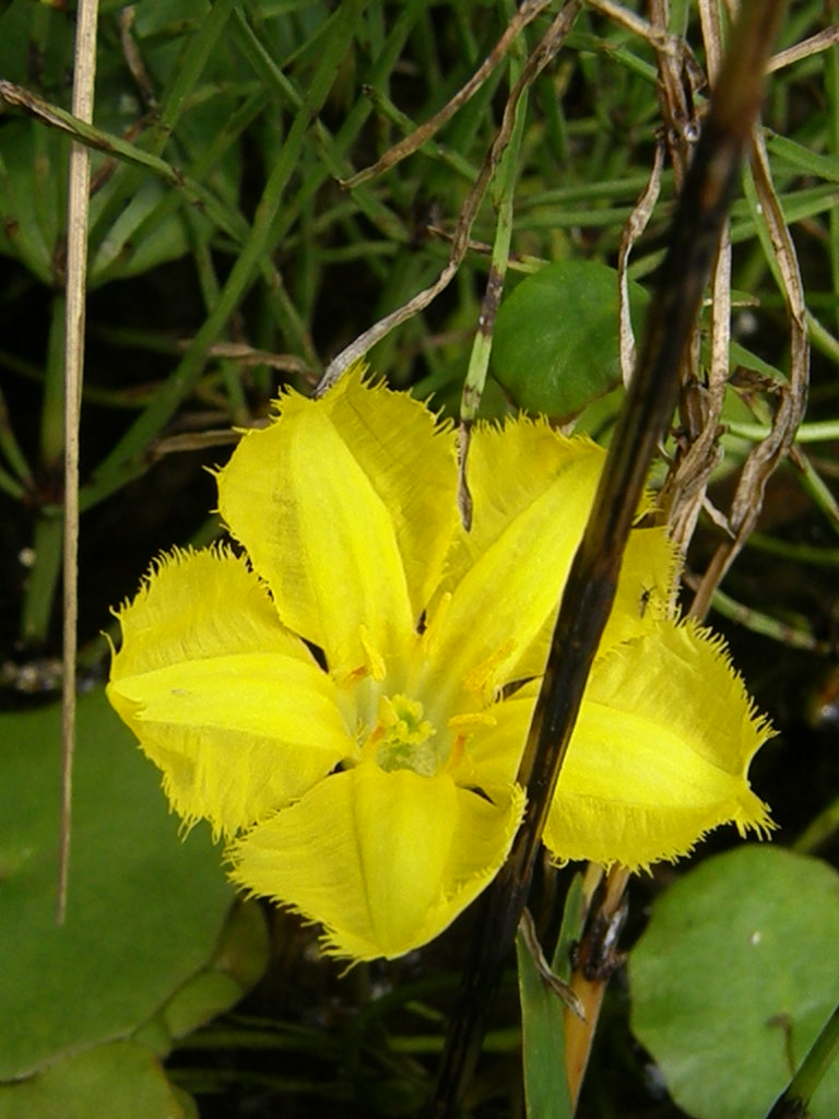 e0064158_23113424.jpg