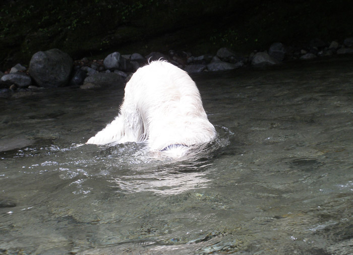 c0110361_11542870.jpg
