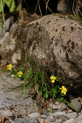 e0054067_23273790.jpg