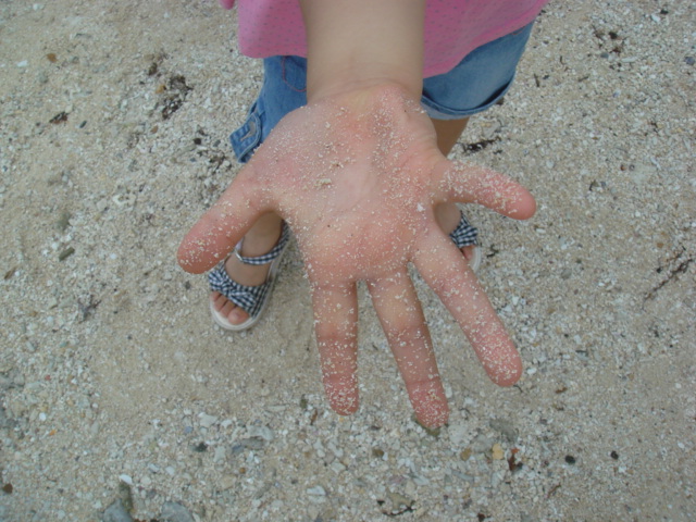 f0048168_12125211.jpg