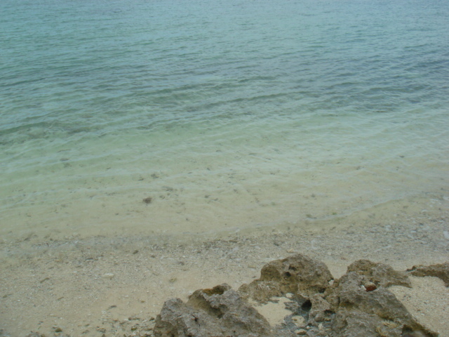 f0048168_12171920.jpg