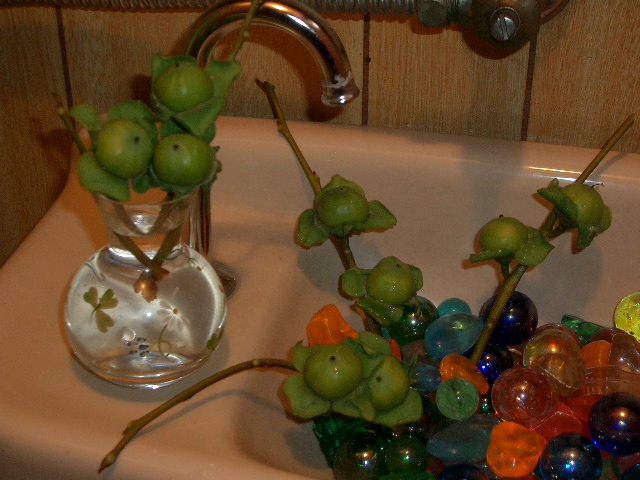 c0162773_20312957.jpg