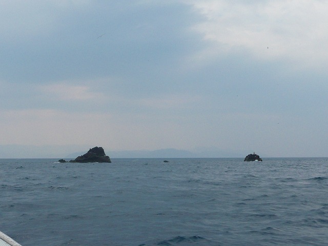 a0120877_12573421.jpg