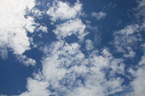 e0114977_11513397.jpg