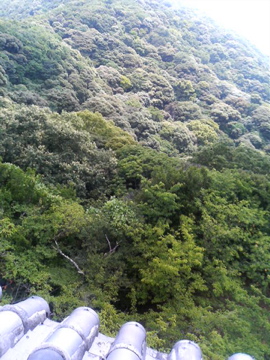 f0054677_9401395.jpg