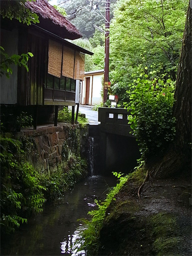 f0089079_3554514.jpg