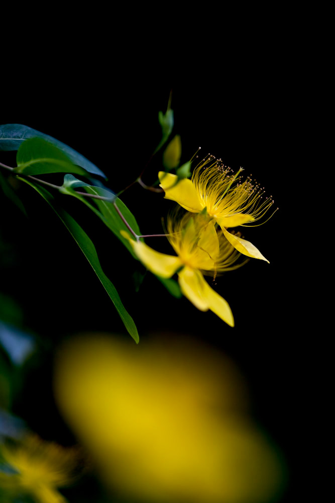 a0083081_18132662.jpg
