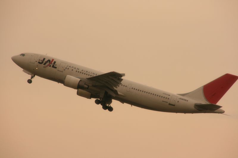 c0148781_21123111.jpg