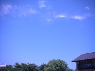 d0129083_1939686.jpg