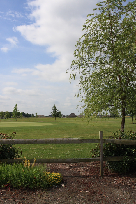 c0130986_2116652.jpg