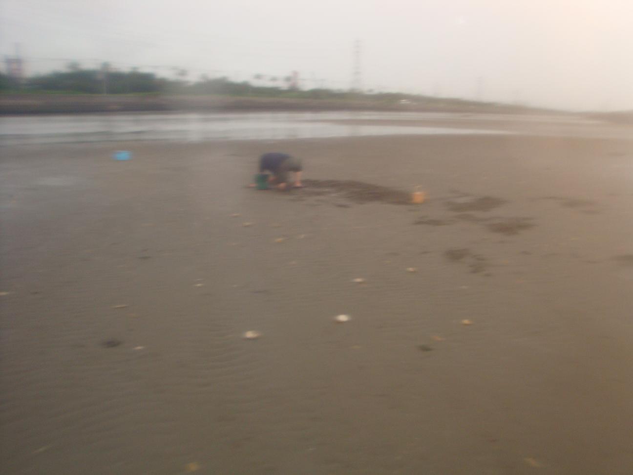f0191888_20425852.jpg