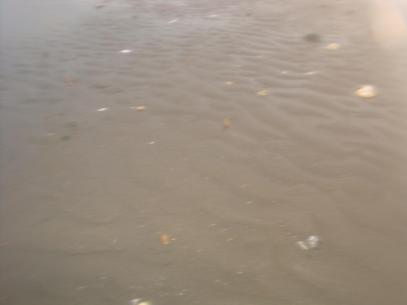 f0191888_20431244.jpg