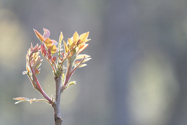 d0133693_21114141.jpg