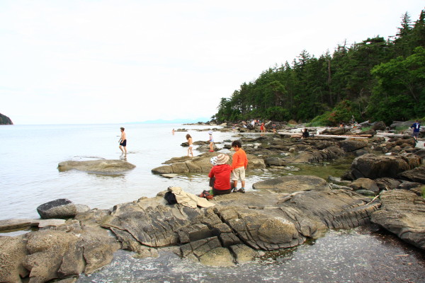 e0122193_1581462.jpg