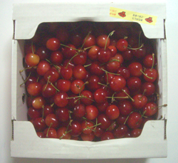 b0099994_8211069.jpg