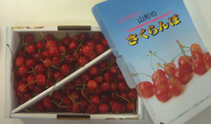 b0099994_8241680.jpg