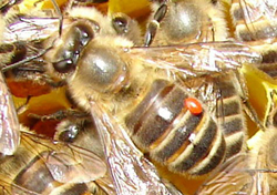 b0099994_829276.jpg