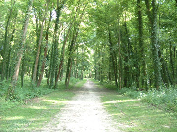 f0139994_7105433.jpg